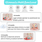 GIMNASIO MUSICAL CASITA