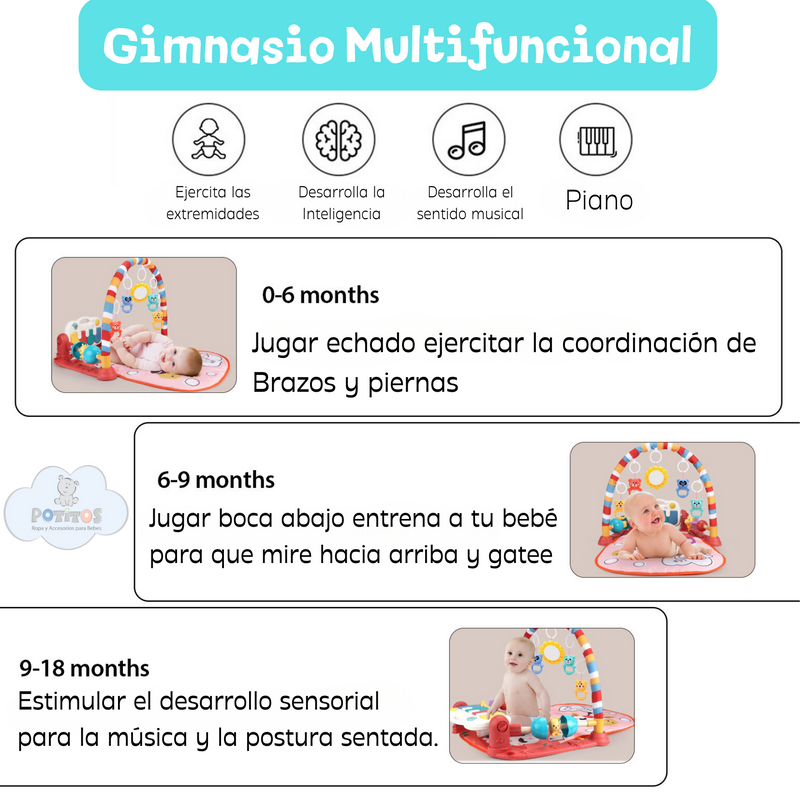 GIMNASIO MUSICAL CASITA